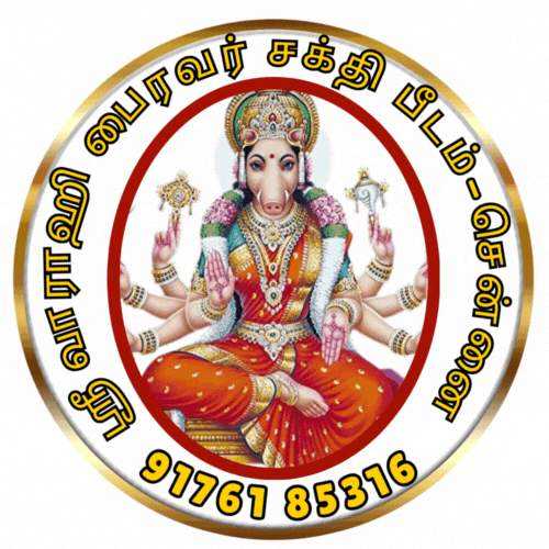 Astrologer Black Magic Specialist