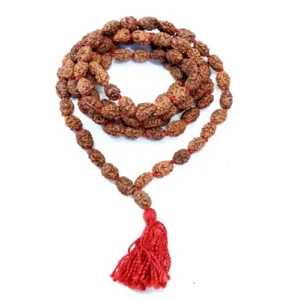 2Face Rudraksh Mala
