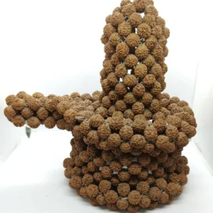 5 Face Rudraksh Shivling