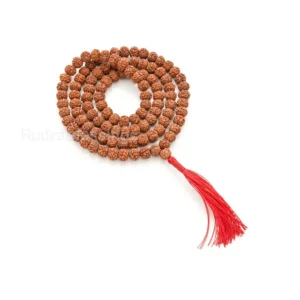 5 Face Rudraksh Mala