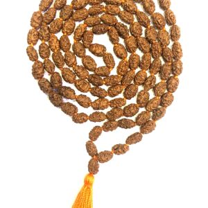 3 Face Rudraksh Mala