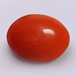 Coral Gemstone