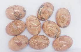 Fossil Stone